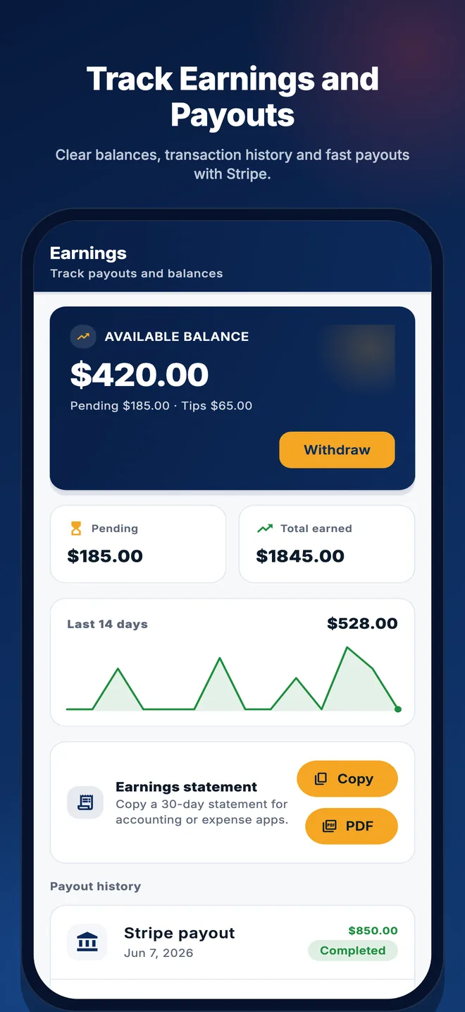 Provider wallet with available balance, transactions and payout history